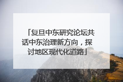 复旦中东研究论坛共话中东治理新方向，探讨地区现代化道路