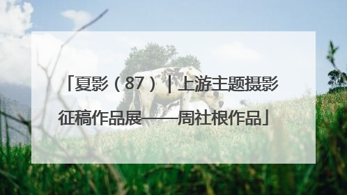 夏影（87）｜上游主题摄影征稿作品展——周社根作品