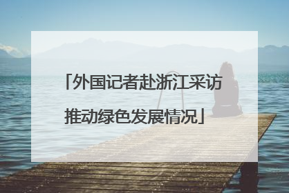 外国记者赴浙江采访推动绿色发展情况