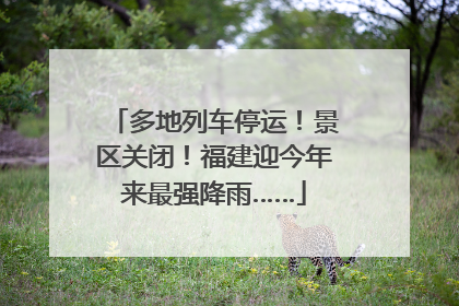 多地列车停运！景区关闭！福建迎今年来最强降雨……