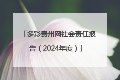 多彩贵州网社会责任报告（2024年度）