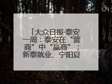 大众日报·泰安一周：泰安在“营商”中“赢商”；新泰就业、宁阳夏收工作上要闻