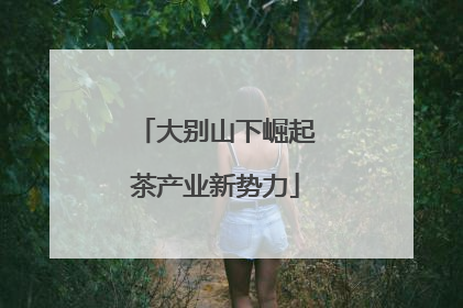 大别山下崛起茶产业新势力