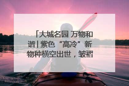大城名园 万物和谐│紫色“高冷”新物种横空出世，皱褶叶片暗藏进化密码