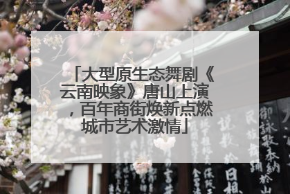 大型原生态舞剧《云南映象》唐山上演，百年商街焕新点燃城市艺术激情