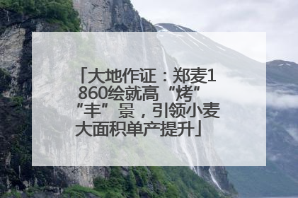 大地作证：郑麦1860绘就高“烤”“丰”景，引领小麦大面积单产提升