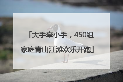 大手牵小手，450组家庭青山江滩欢乐开跑