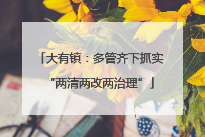 大有镇：多管齐下抓实“两清两改两治理”