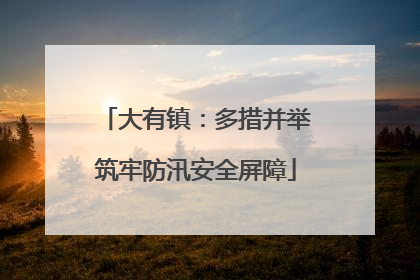大有镇：多措并举筑牢防汛安全屏障