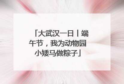 大武汉一日丨端午节，我为动物园小矮马做粽子