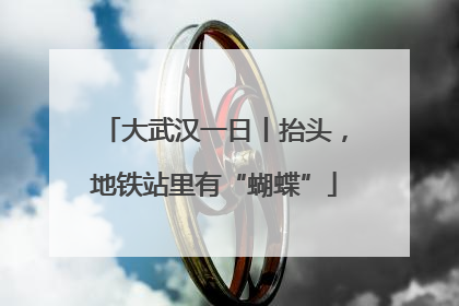 大武汉一日丨抬头，地铁站里有“蝴蝶”