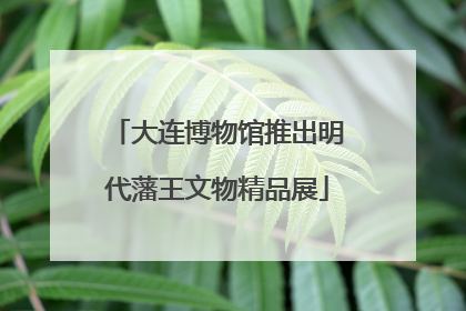 大连博物馆推出明代藩王文物精品展