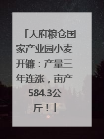天府粮仓国家产业园小麦开镰：产量三年连涨，亩产584.3公斤！