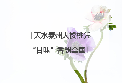 天水秦州大樱桃凭“甘味”香飘全国