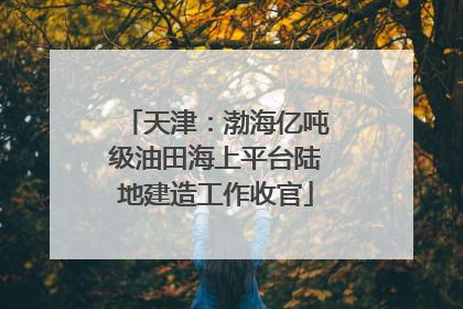天津：渤海亿吨级油田海上平台陆地建造工作收官