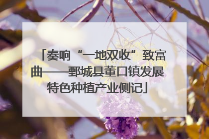 奏响“一地双收”致富曲——鄄城县董口镇发展特色种植产业侧记