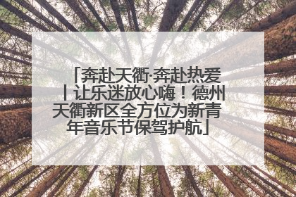 奔赴天衢·奔赴热爱丨让乐迷放心嗨！德州天衢新区全方位为新青年音乐节保驾护航