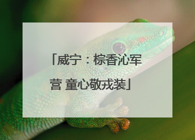 威宁：棕香沁军营 童心敬戎装