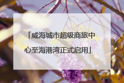 威海城市超级商旅中心至海港湾正式启用