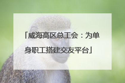 威海高区总工会：为单身职工搭建交友平台