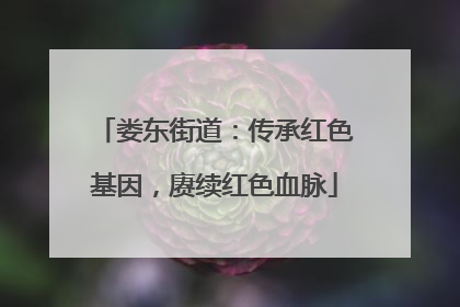 娄东街道：传承红色基因，赓续红色血脉