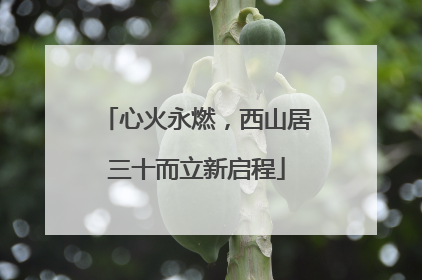 心火永燃，西山居三十而立新启程