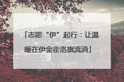 志愿“伊”起行：让温暖在伊金霍洛旗流淌