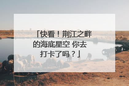 快看！荆江之畔的海底星空 你去打卡了吗？