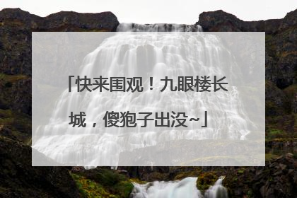 快来围观！九眼楼长城，傻狍子出没~