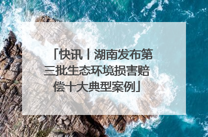 快讯丨湖南发布第三批生态环境损害赔偿十大典型案例
