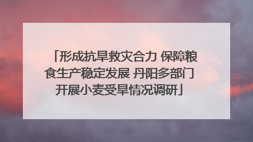 形成抗旱救灾合力 保障粮食生产稳定发展 丹阳多部门开展小麦受旱情况调研