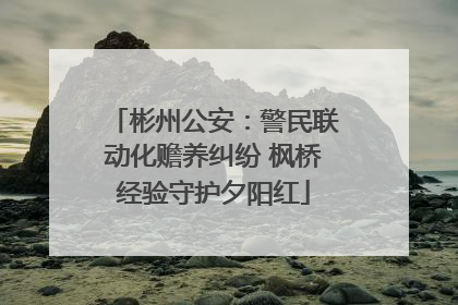 彬州公安：警民联动化赡养纠纷 枫桥经验守护夕阳红