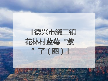 德兴市绕二镇花林村蓝莓“紫”了（图）