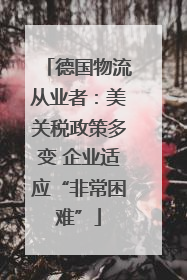 德国物流从业者：美关税政策多变 企业适应“非常困难”