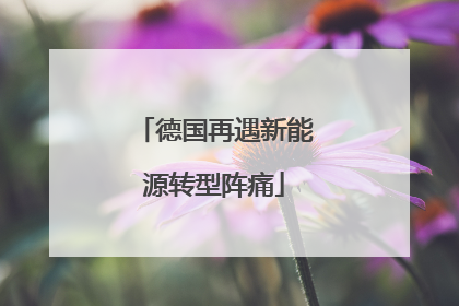 德国再遇新能源转型阵痛