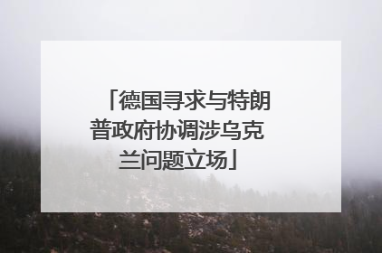 德国寻求与特朗普政府协调涉乌克兰问题立场