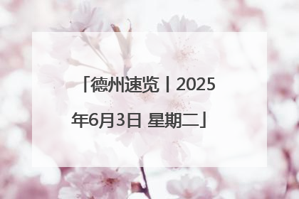 德州速览丨2025年6月3日 星期二