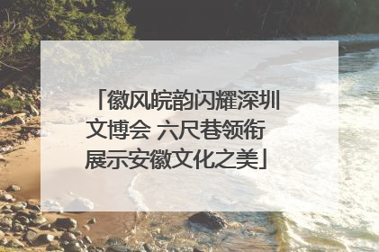 徽风皖韵闪耀深圳文博会 六尺巷领衔展示安徽文化之美