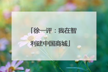 徐一评：我在智利建中国商城