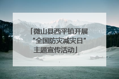 微山县西平镇开展“全国防灾减灾日”主题宣传活动