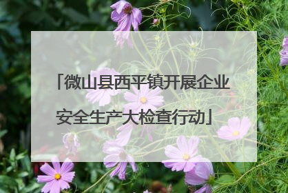 微山县西平镇开展企业安全生产大检查行动