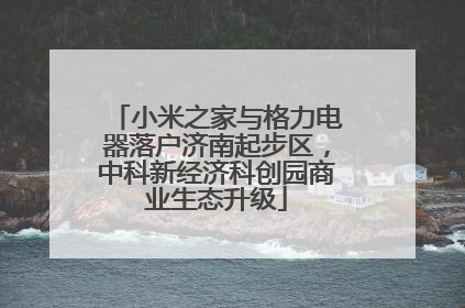 小米之家与格力电器落户济南起步区，中科新经济科创园商业生态升级