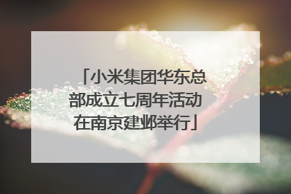 小米集团华东总部成立七周年活动在南京建邺举行