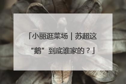 小丽逛菜场｜苏超这“鹅”到底谁家的？