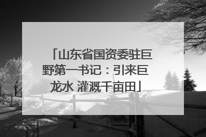 山东省国资委驻巨野第一书记：引来巨龙水 灌溉千亩田