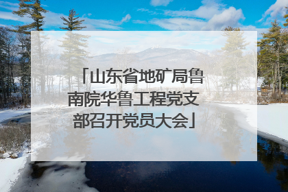山东省地矿局鲁南院华鲁工程党支部召开党员大会