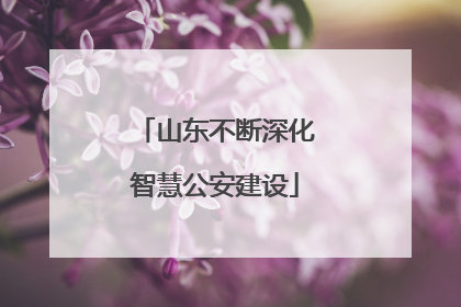 山东不断深化智慧公安建设