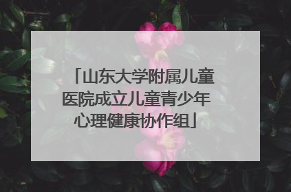 山东大学附属儿童医院成立儿童青少年心理健康协作组