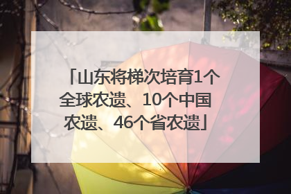山东将梯次培育1个全球农遗、10个中国农遗、46个省农遗