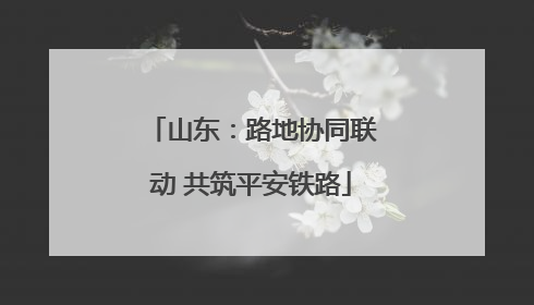 山东：路地协同联动 共筑平安铁路